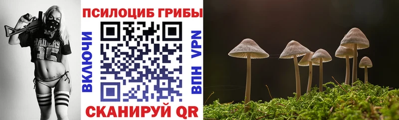 Псилоцибиновые грибы мицелий  MEGA маркетплейс  Артём 